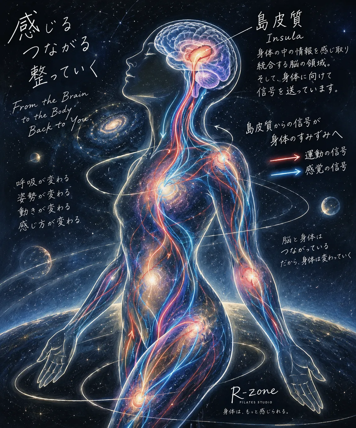 身体は変わったのに、なぜ元に戻る? 脳と身体をつなぎ直す『身体調律』
