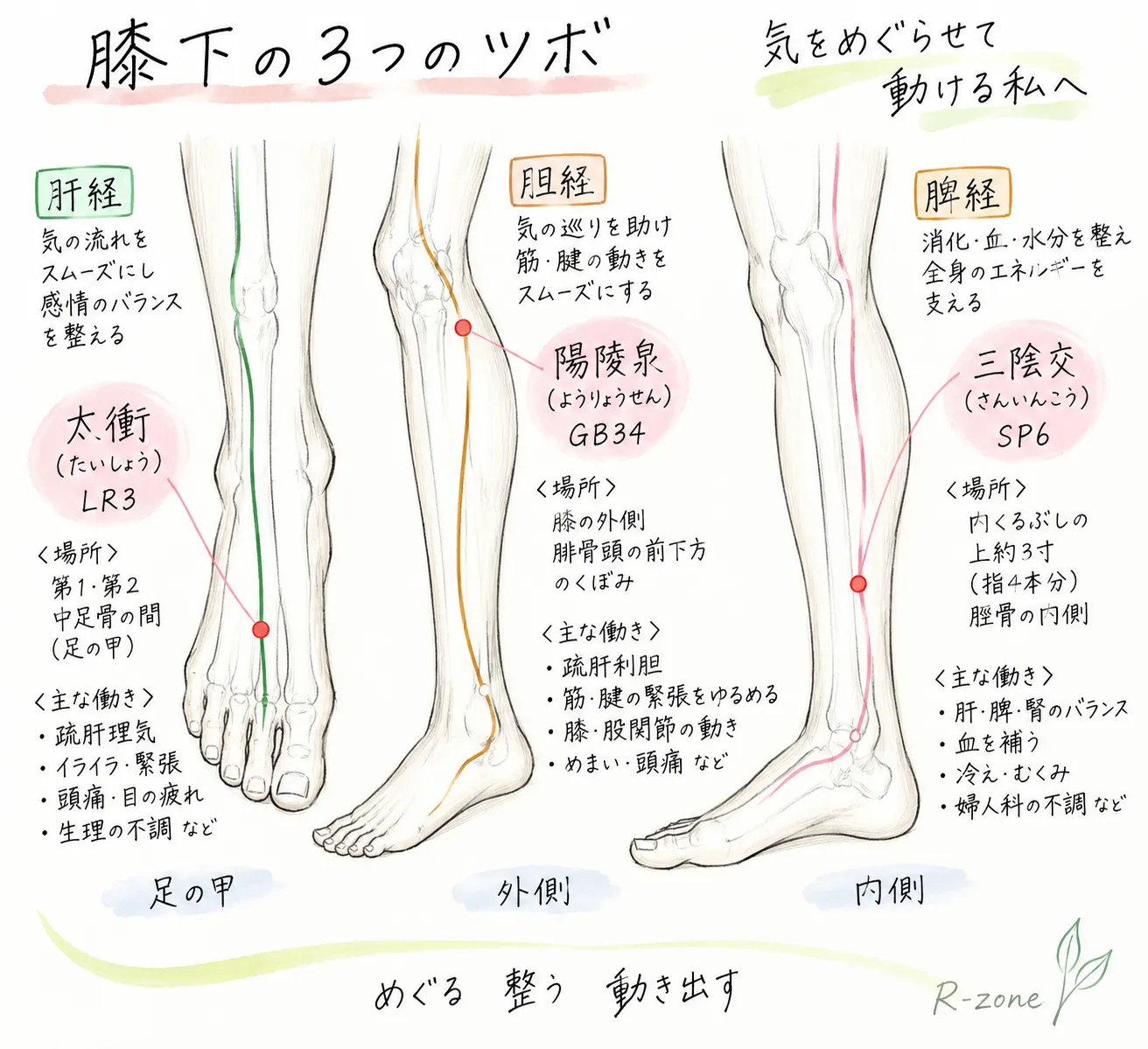 秋の養生|頑張る、から整えて蓄える。へ。札幌の身体調律ピラティススタジオより